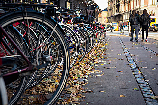 丹麦,哥本哈根,局部,自行车