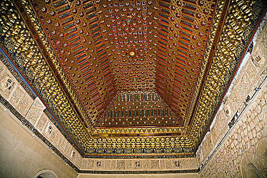 天花板,城堡,塞戈维亚,西班牙,2007年