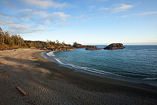 南海滩,环太平洋国家公园,靠近,不列颠哥伦比亚省,加拿大