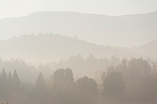 美国,佛蒙特州,雾状,树,山脉