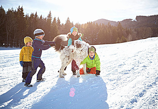 孩子,宠物,狗,享受,玩,雪中
