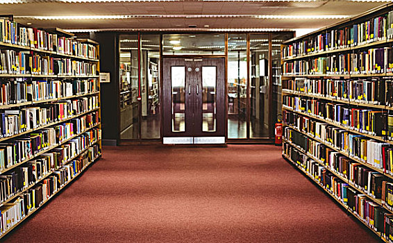 入口,大学,图书馆