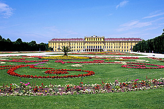 奥地利,维也纳,美泉宫,花,前景