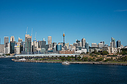 澳大利亚,悉尼,风景,市区,天际线,白色,湾,港口,大幅,尺寸