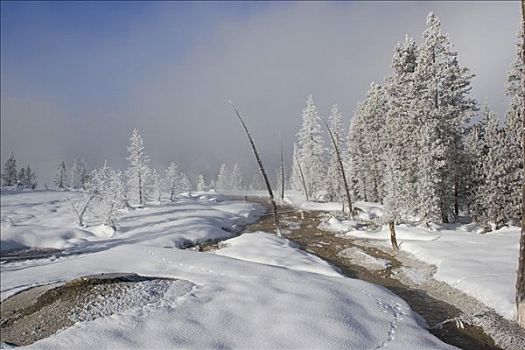 魔幻,冬日奇景,黄石国家公园