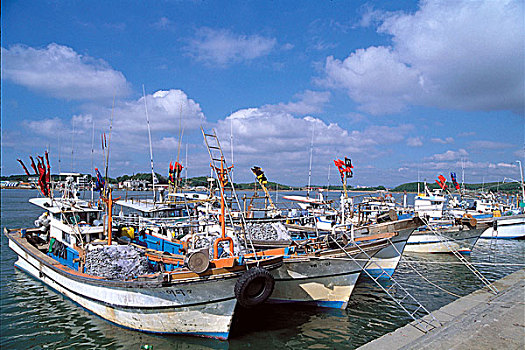渔船,停泊,港口