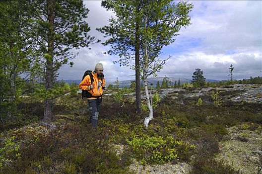 远足者,尤通黑门山,国家公园,挪威