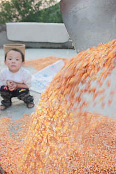 重庆市云阳县外郎乡的收获,晾晒玉米的农民