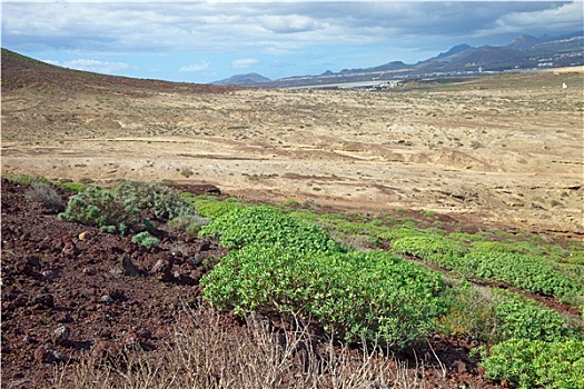 特内里费岛,风景