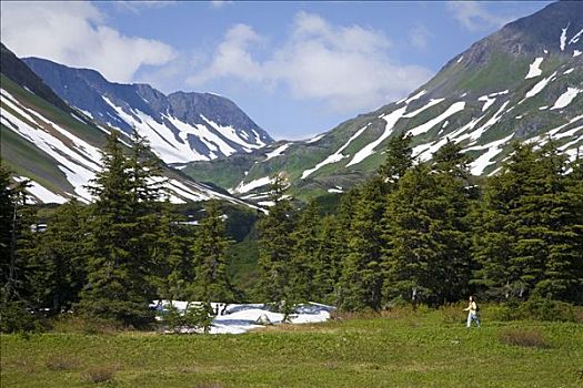 女人,远足,野花,山,背景,湖,小路,靠近,阿拉斯加,夏天