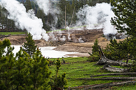 黄石国家公园的泥火山