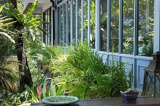 户外,绿色植物,装饰,花园