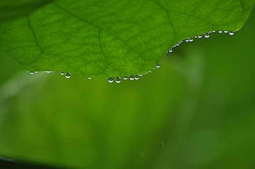 水晶