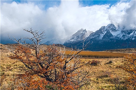 秋天,巴塔哥尼亚,托雷德裴恩国家公园,南方,智利,一个,漂亮,山脉,世界
