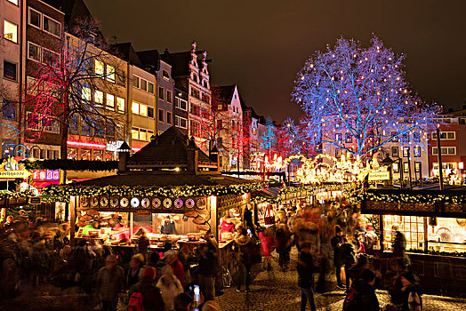 市场,圣诞市场,老,老城,科隆,莱茵兰,北莱茵威斯特伐利亚,德国,欧洲