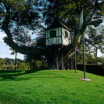 地面,伊丽莎白时代,房子,什罗普郡,17世纪,古老,树,金属,柱子