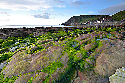 海边风景,藻类,大石头,渔村,班夫郡,英国,苏格兰,欧洲