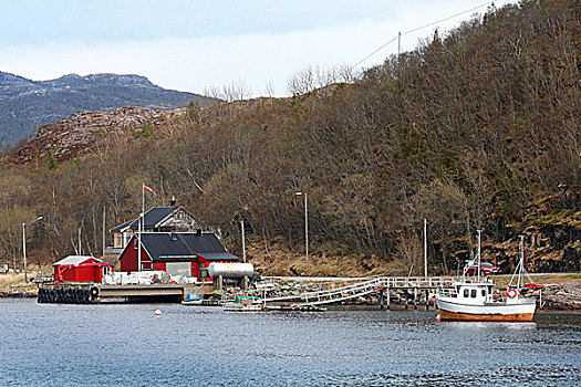 传统,小,挪威,乡村,红色,木屋,渔船