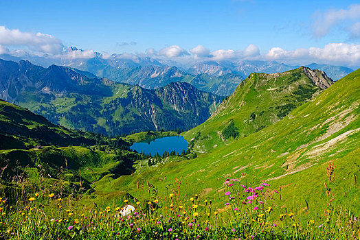 湖,风景,阿尔卑斯山,奥伯斯多夫,斯瓦比亚,巴伐利亚,德国,欧洲
