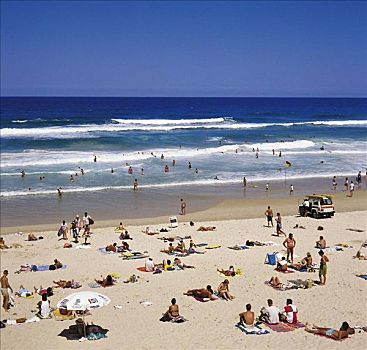 假日,夏天,冲浪者天堂,澳大利亚