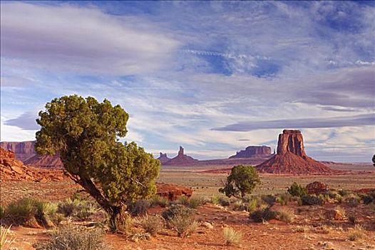 风景,纪念碑谷,纳瓦霍人部落公园,亚利桑那,美国