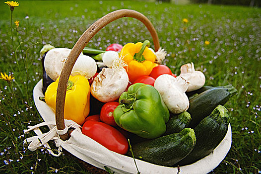 篮子,蔬菜,菜园
