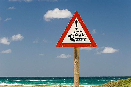 警告标识,海龟,岬角,西海角,南非,非洲