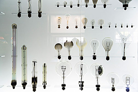 旧式,电,灯泡,多样,形状,尺寸,展示,玻璃,柜子