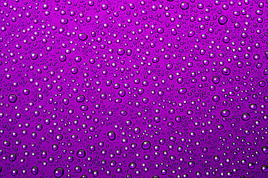 水滴,紫色