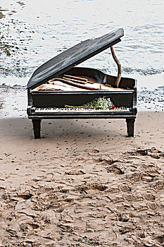 老,钢琴,海滩