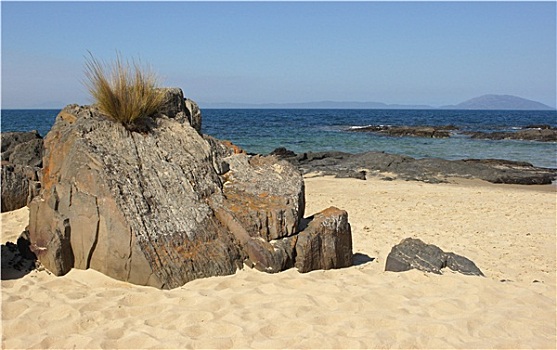 针状物,海滩,塔斯曼海,澳大利亚