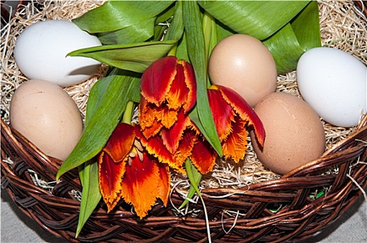 郁金香,复活节彩蛋