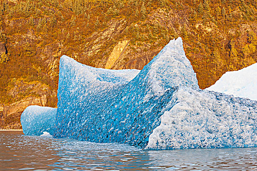 冰山,破损,棉田豪冰河,漂浮,湖,翻转,上方,展示,蓝色,擦亮,冰,水下,朱诺,阿拉斯加,美国