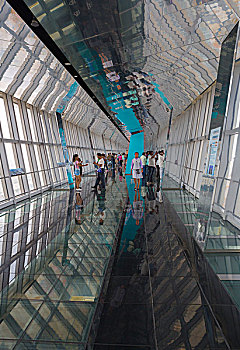 上海,桥,上面,世界金融中心,塔