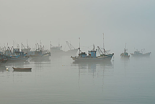 海港,渔船,海滨