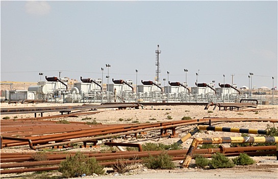 石油,天然气,产业,荒芜,巴林,中东