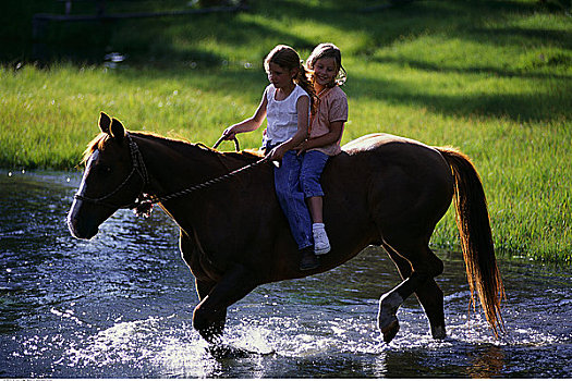两个女孩,骑,马背,河流