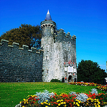 城堡,爱尔兰