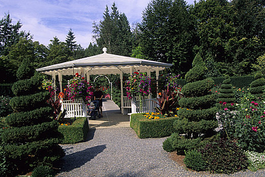 加拿大,不列颠哥伦比亚省,靠近,花园,玫瑰园