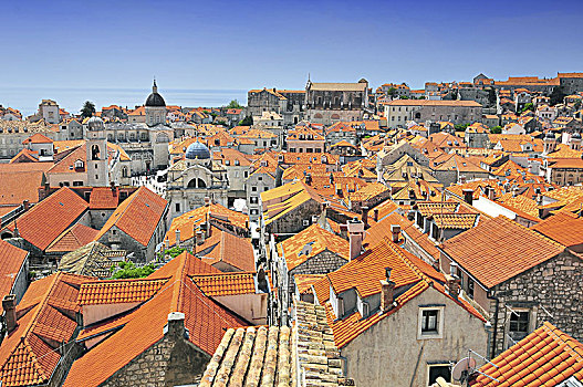 俯视图,城镇,城市,墙壁,杜布罗夫尼克,达尔马提亚,克罗地亚,欧洲