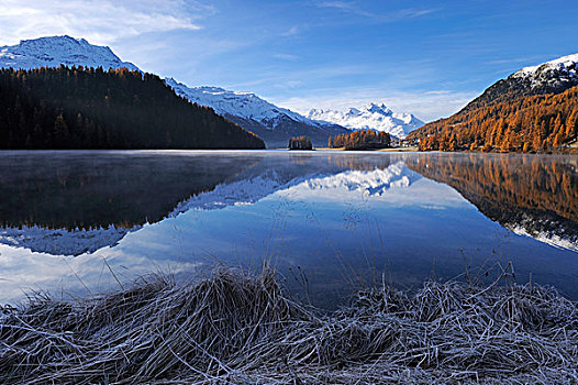 湖,秋天,山,背影,恩格达恩,瑞士,欧洲