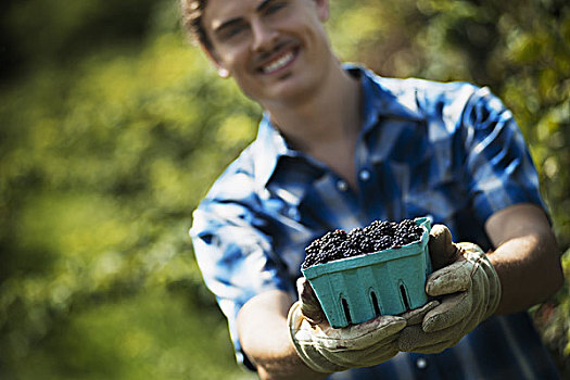 有机农牧,男青年,扁篮,水果,黑莓