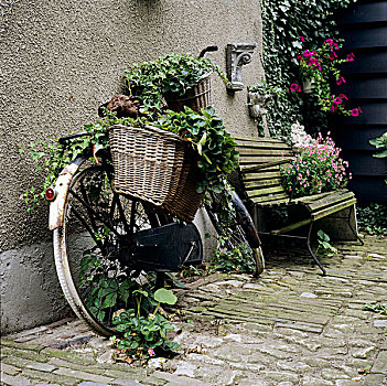 老,自行车,植物,篮子,庭院装饰