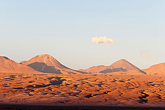 佩特罗,阿塔卡马沙漠,安托法加斯塔,智利