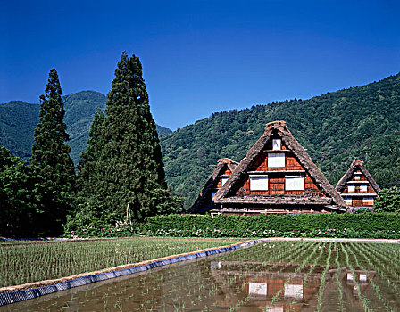 房子,土地,日本