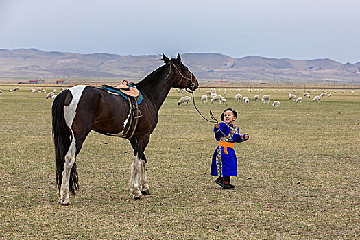 内蒙古西乌旗民间赛马,套马