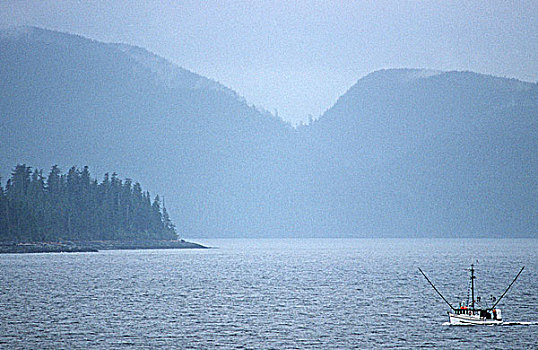 靠近,王子,三文鱼,薄雾,不列颠哥伦比亚省,加拿大
