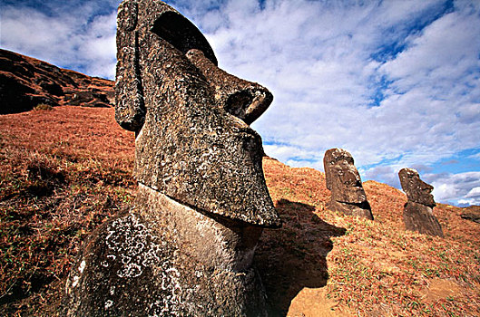智利,复活节岛,拉诺拉拉库采石场,复活节岛石像,大幅,尺寸