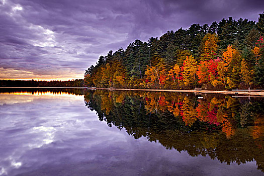 秋色,日落,上方,水塘,缅因,美国