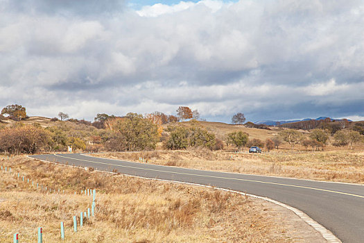 道路